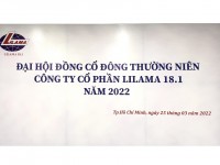 Tin tức công ty